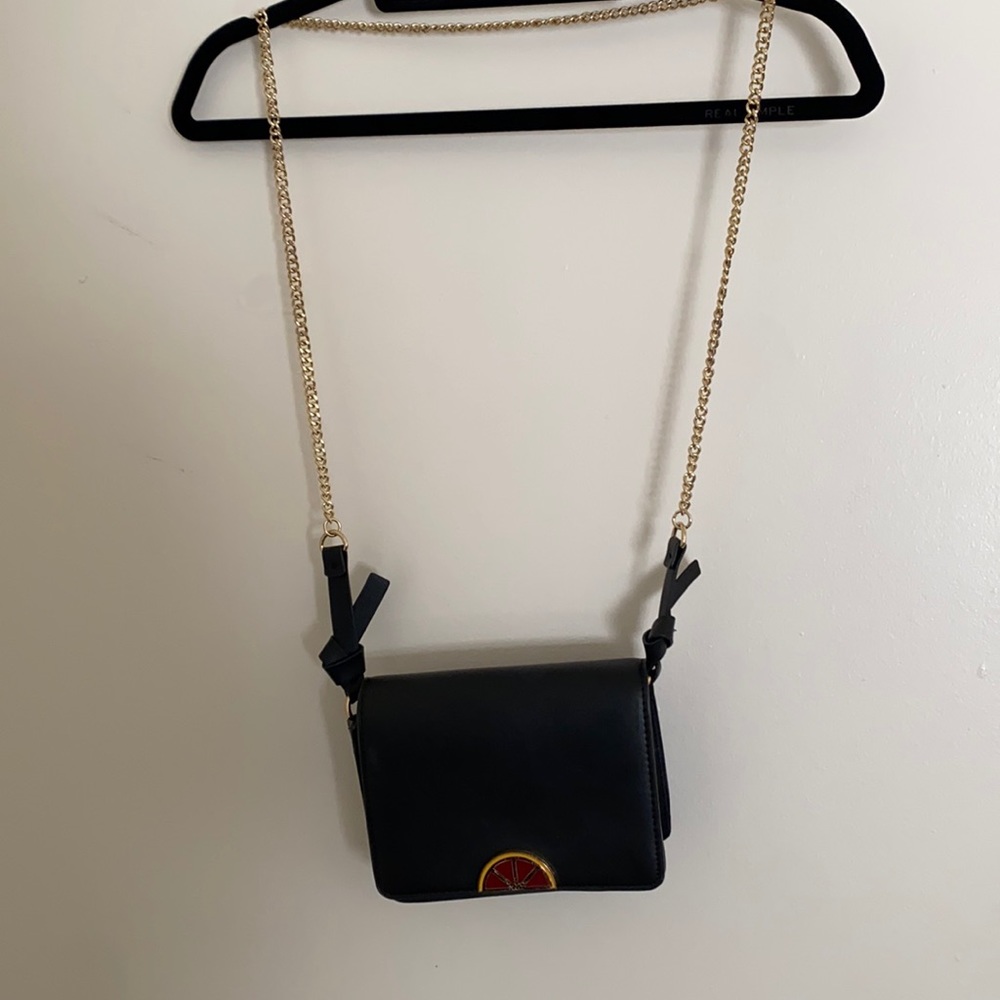 Zara Chainlink Crossbody